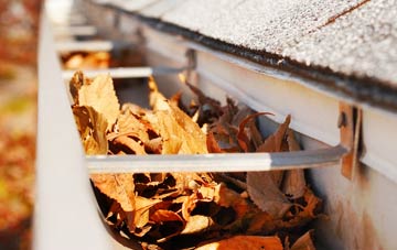 Portico gutter cleaning companies
