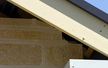 soffit repair Portico
