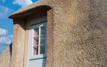 Portico thatch roof disadvantages